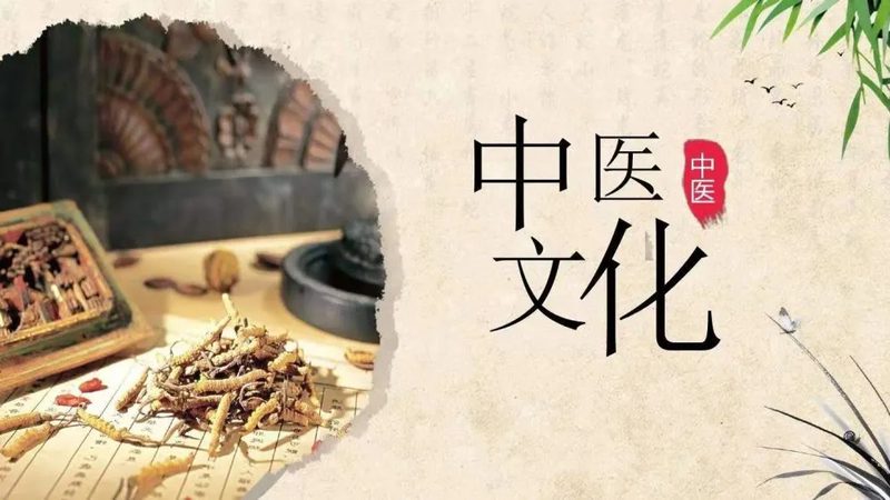 治未病食疗标准规范